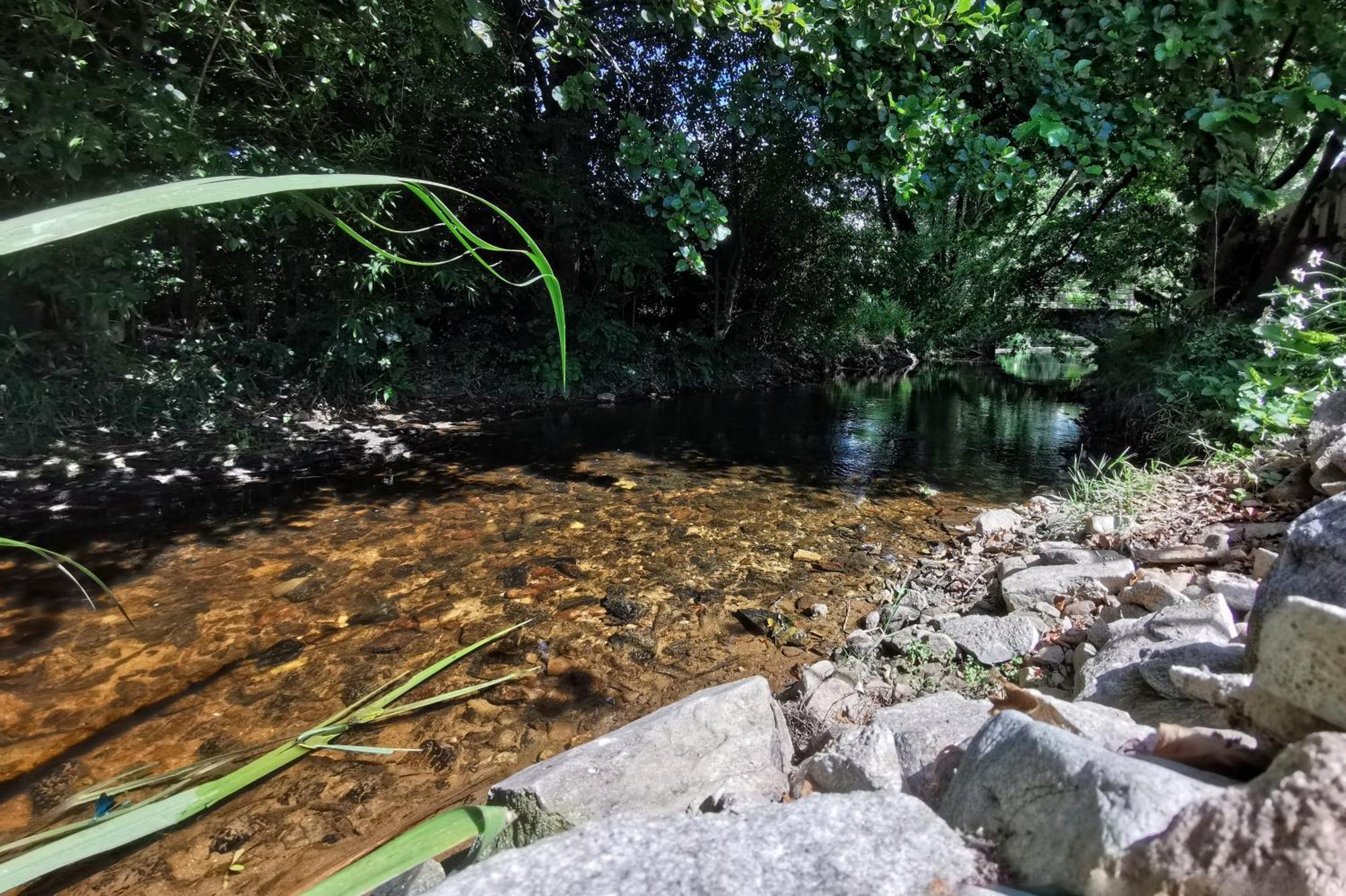 Gite Du Moulin Toucan Berneuil  Экстерьер фото
