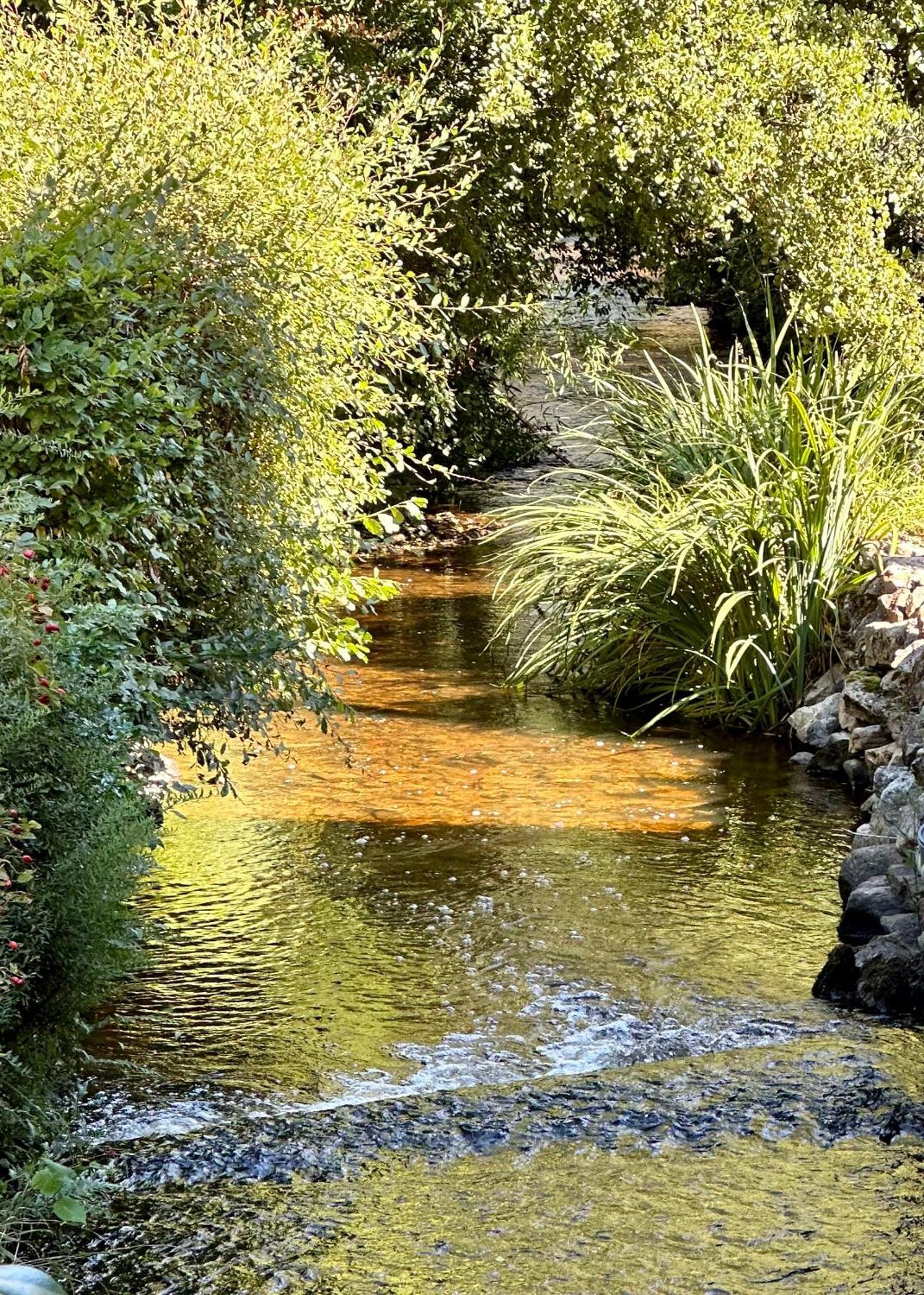 Gite Du Moulin Toucan Berneuil  Экстерьер фото